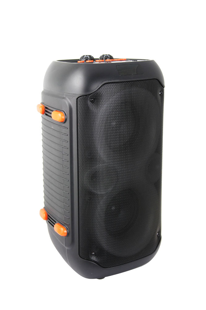 ESPERANZA GŁOŚNIK BT FM LED RGB KARAOKE SINGER