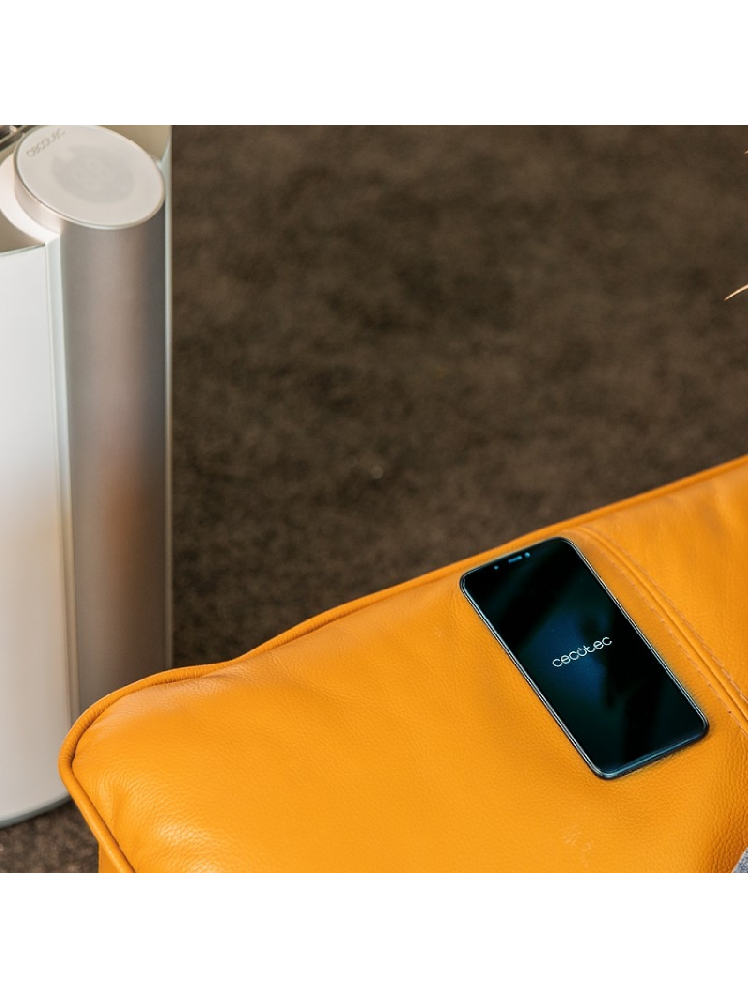 Osuszacz powietrza Cecotec BigDry 9000 Professional Connected